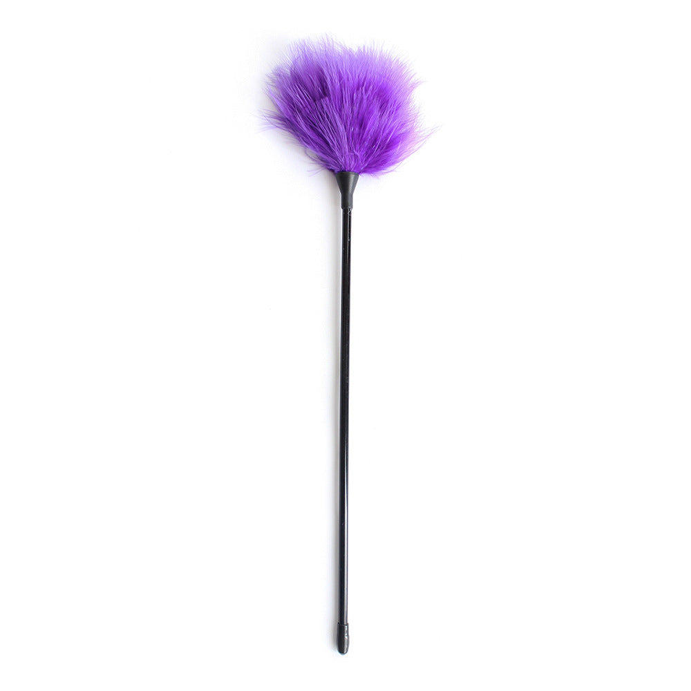 Elegant Couples Feather Whip Toy