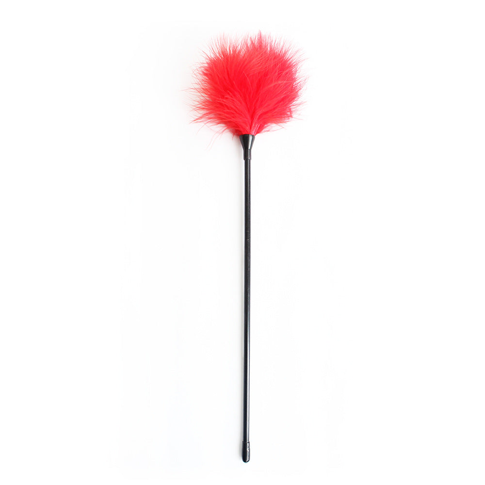 Elegant Couples Feather Whip Toy