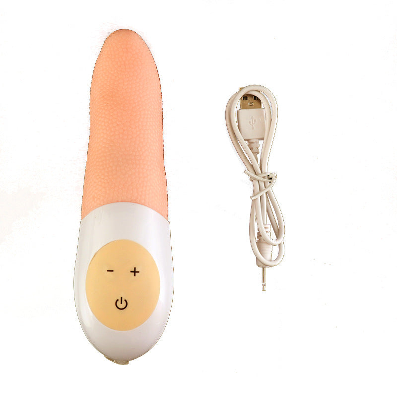 Charging And Heating Variable Frequency Toys